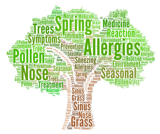 Embrace the Fun Side of the Season! Breathe Easy: Unleashing All the Great Products for Allergy and Sinus Relief