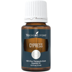 Cypress Essential Oil