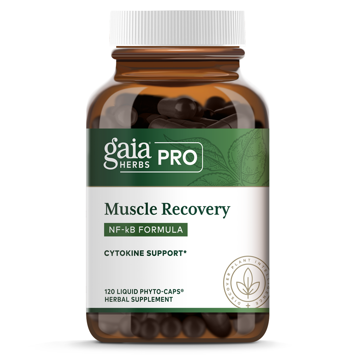 Muscle Recovery NF-kB Formula