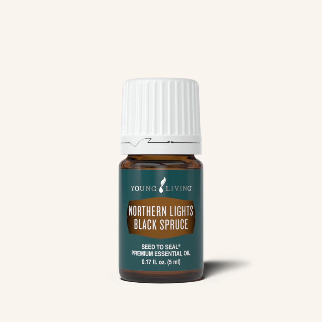 Northern Lights Black Spruce