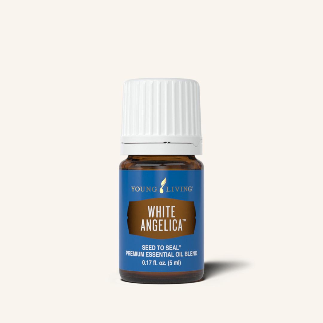 White Angelica