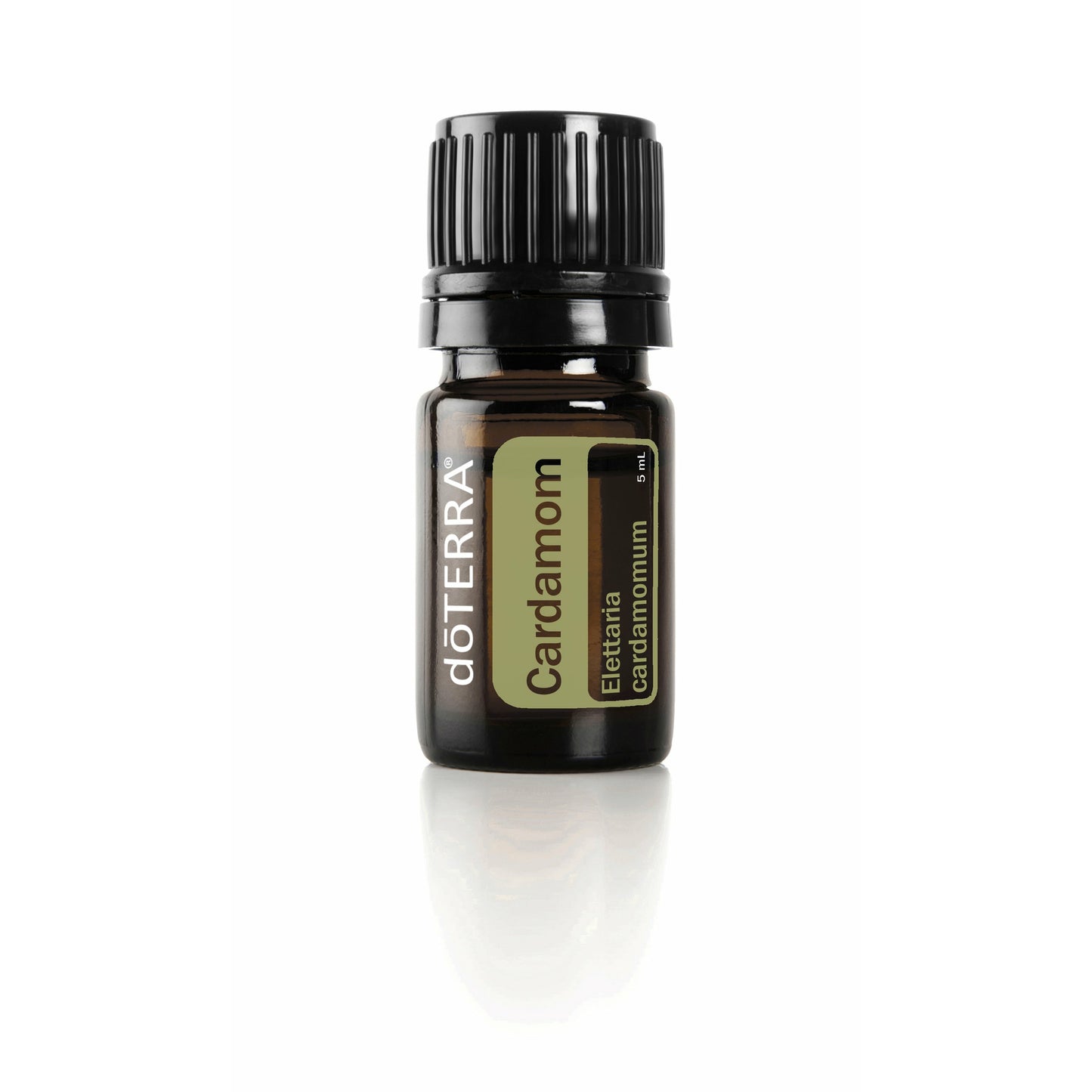 Cardamom