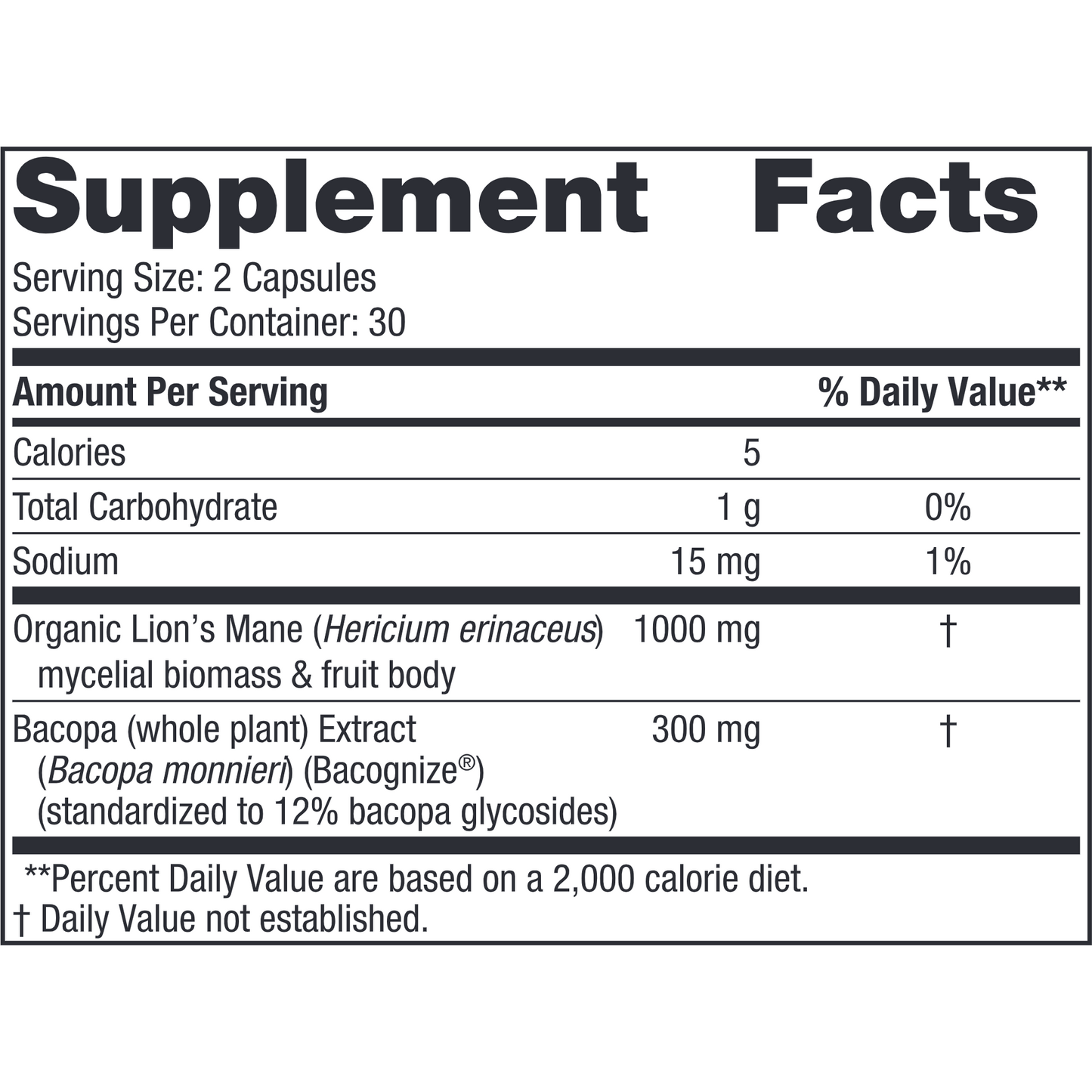 Cognition Mushroom Complex