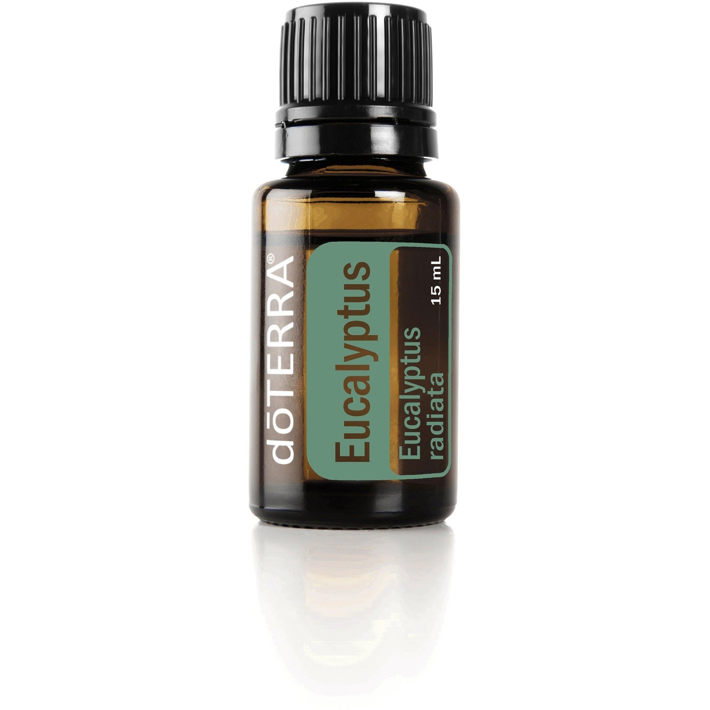 Eucalyptus Oil (radiata)