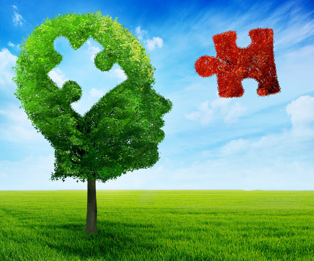 The Omega-3 War Part II: Your Brain