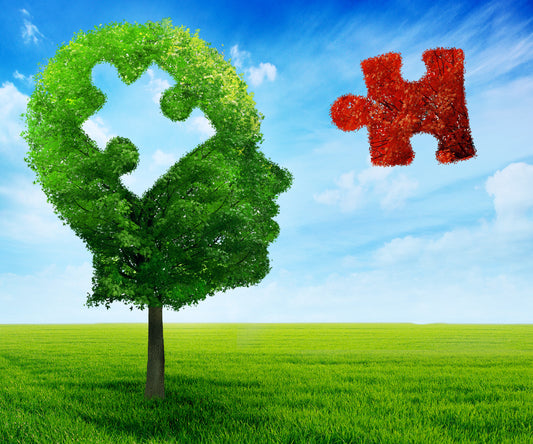 The Omega-3 War Part II: Your Brain