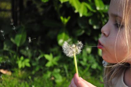 Spring, Sneezing and Sniffles.  .  .