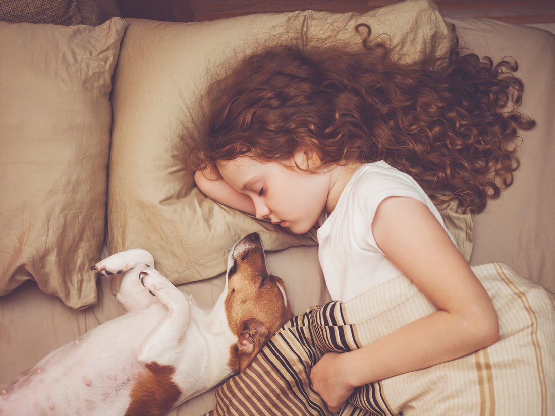 Summer Sleep Schedule for Your Child