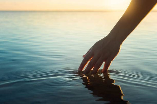Find Your Calm with L-Theanine, Ashwagandha & Pure Zen!