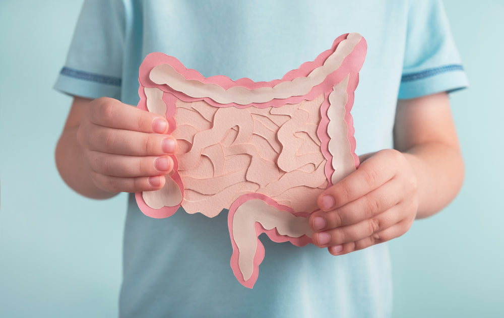 child in blue shirt holding cut out of intestine