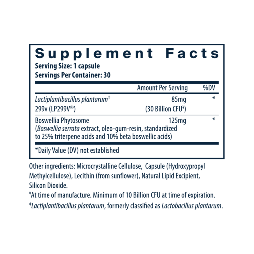 IBS Support Probiotic
