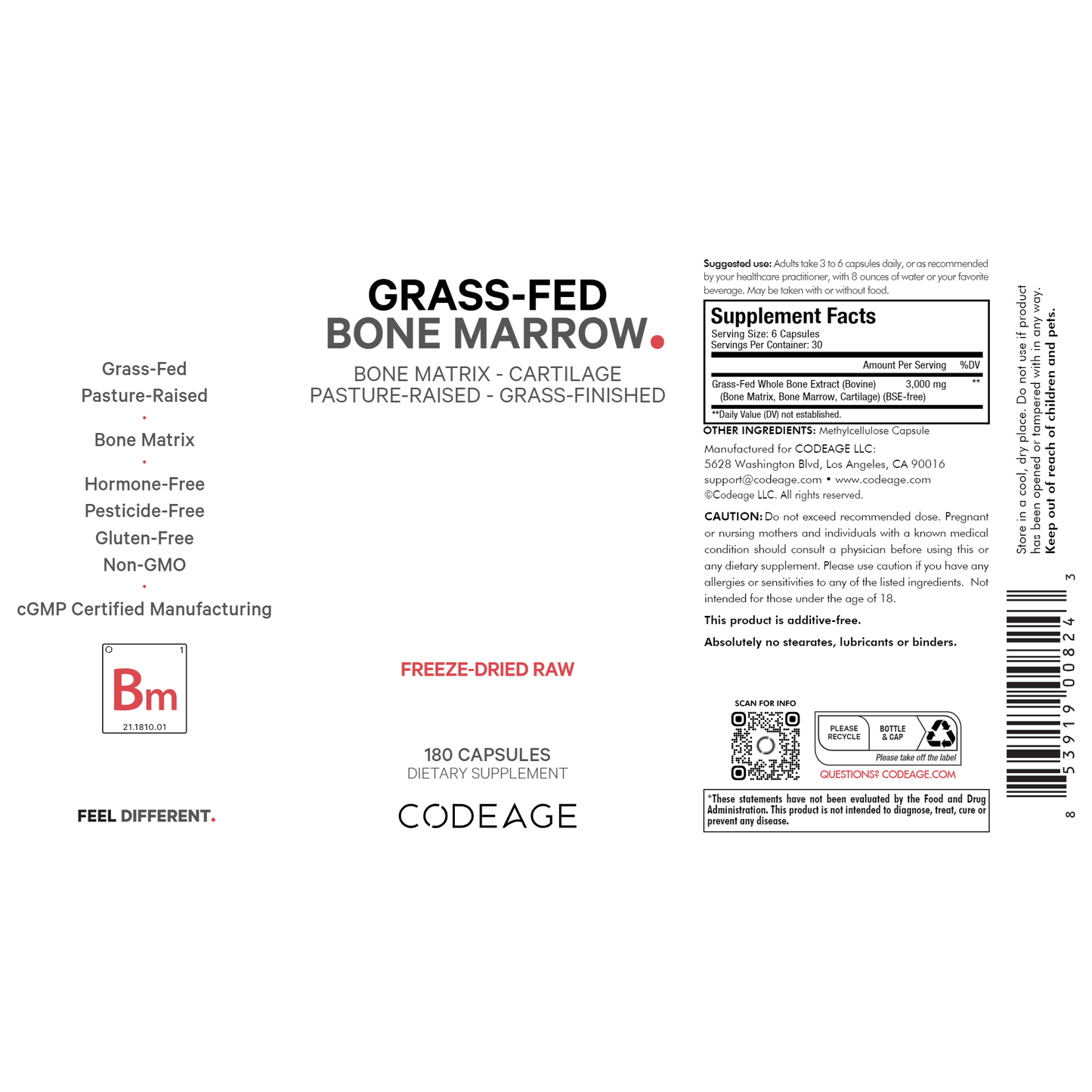 Bone Marrow