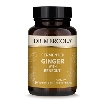 Dr. Mecola Fermented Ginger