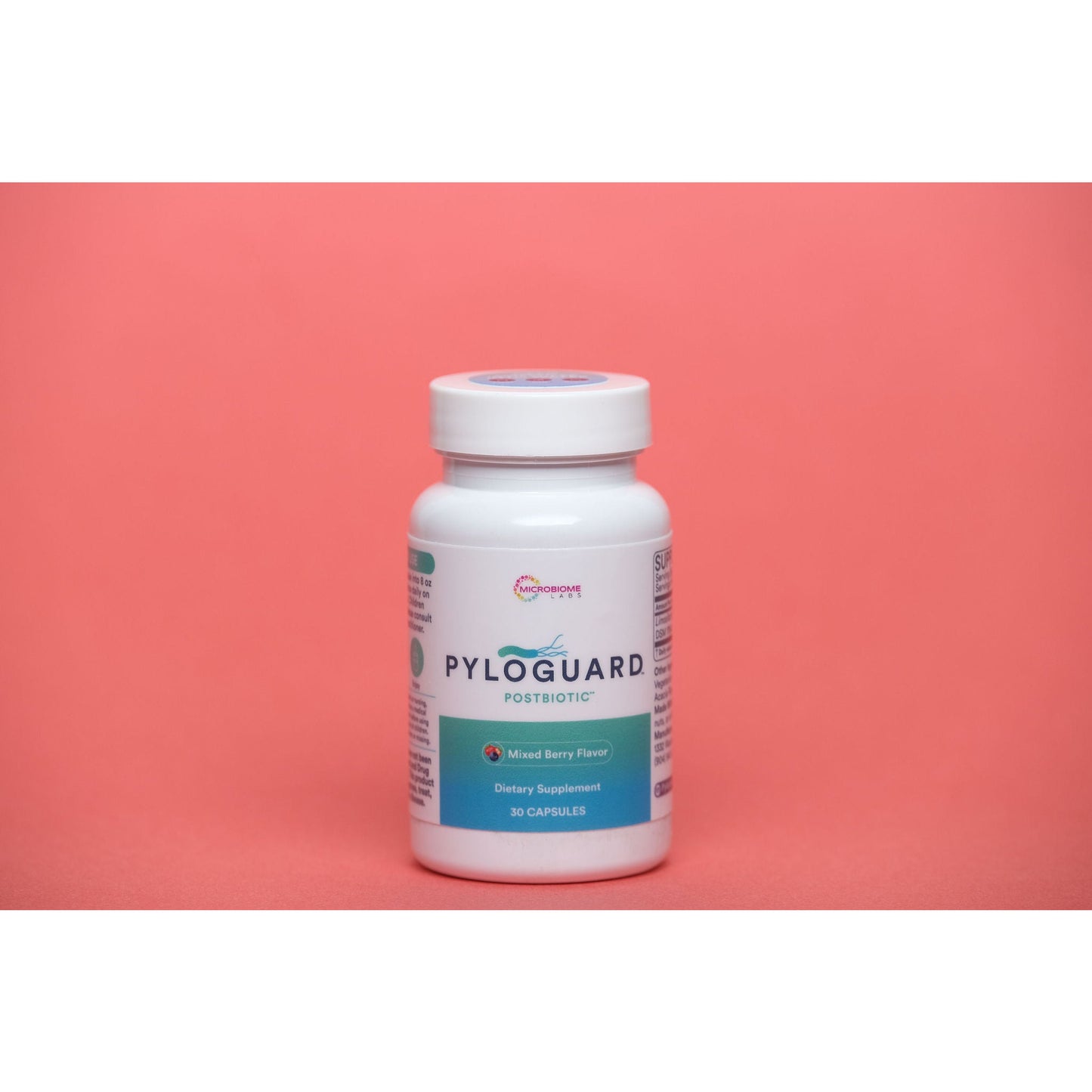 PyloGuard