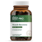 Muscle Recovery NF-kB Formula