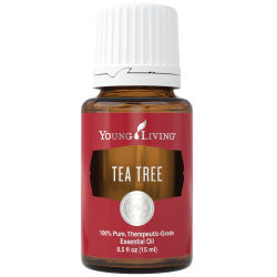 Tea Tree