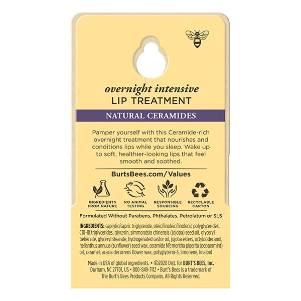 Burt's Bees Lip Treatment Overnight Intensive
